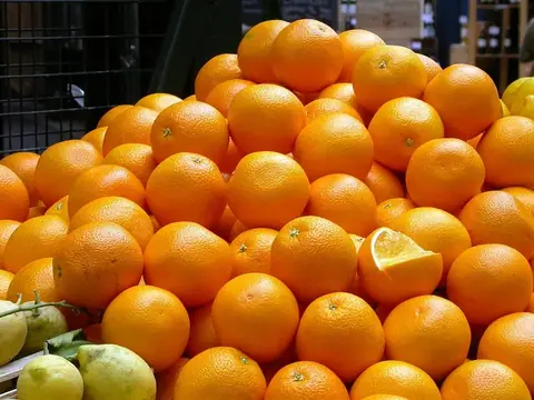 Cam, Quýt, Bưởi
