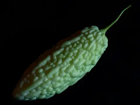 Khổ qua (Mướp đắng)