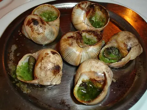 Ốc nước ngọt