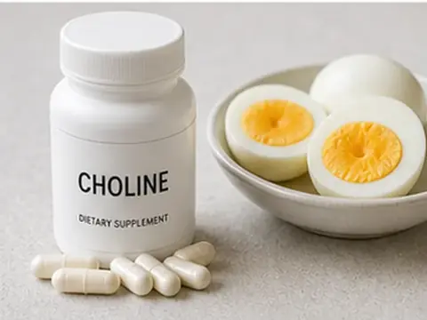Choline supplement