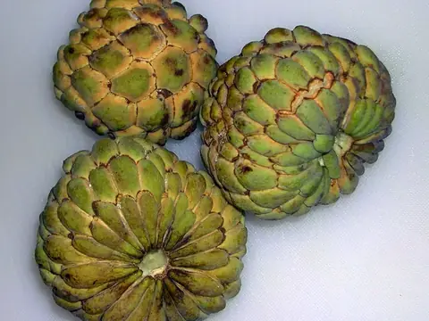 Na (Mãng cầu ta)