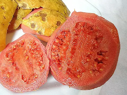 Ổi