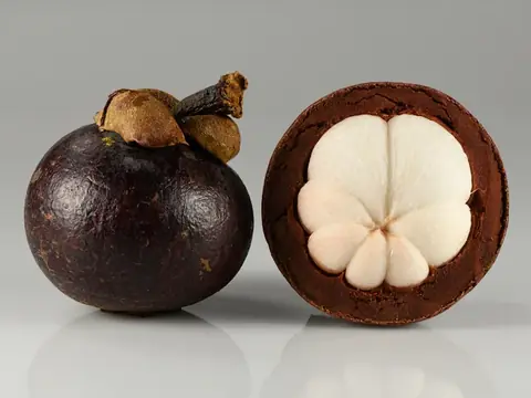 Măng cụt