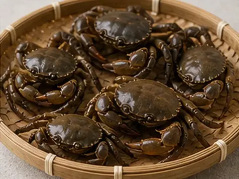 Cua đồng