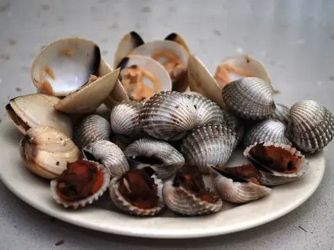 Ngao, sò nấu chín