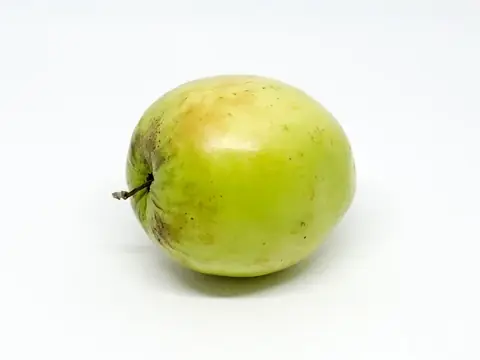 Táo ta