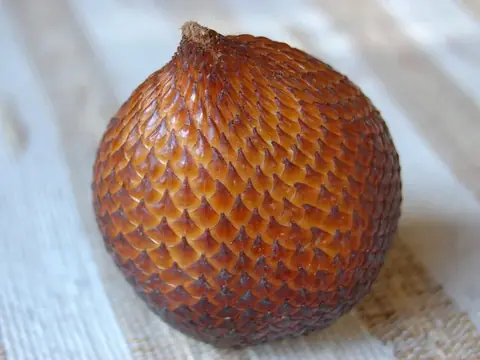 Quả salak (Mây Thái)