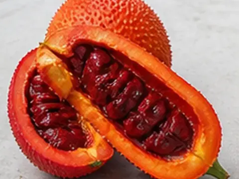 Gấc