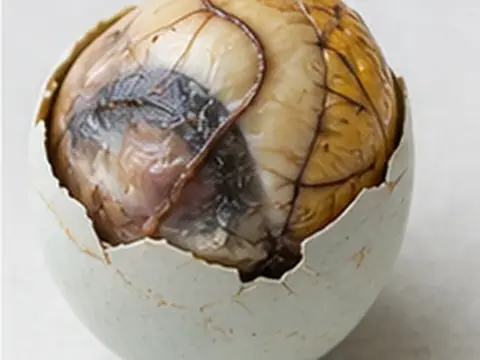 Trứng vịt lộn