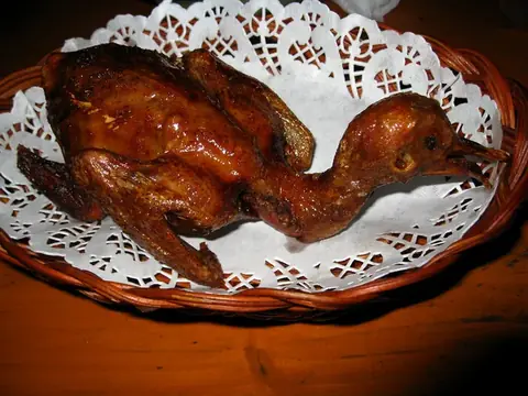 Thịt chim bồ câu
