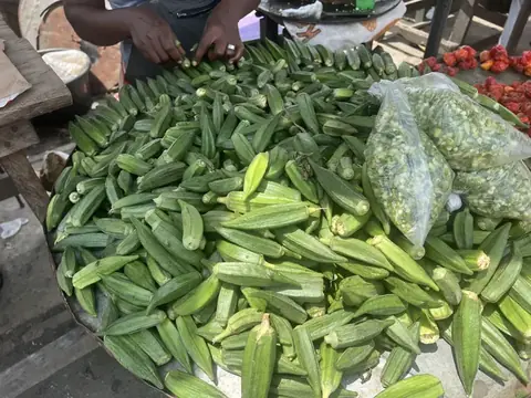Đậu bắp