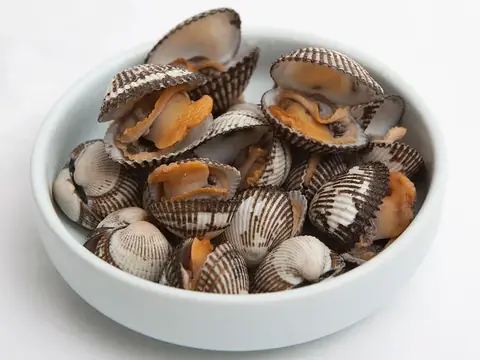 Sò huyết nấu chín