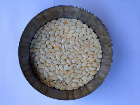 Hạt bí