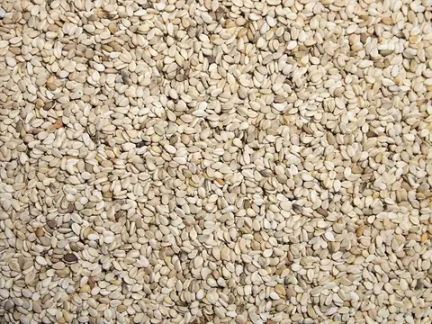 Hạt mè (Vừng)