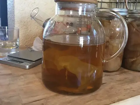 Kombucha tự ủ