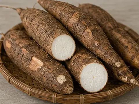 Sắn (Khoai mì)