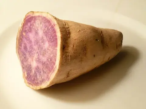 Khoai từ, Khoai mỡ