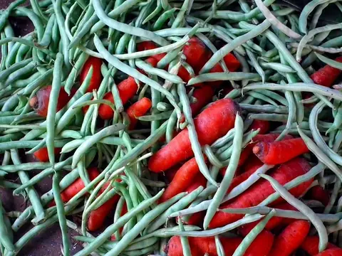 Đậu đũa