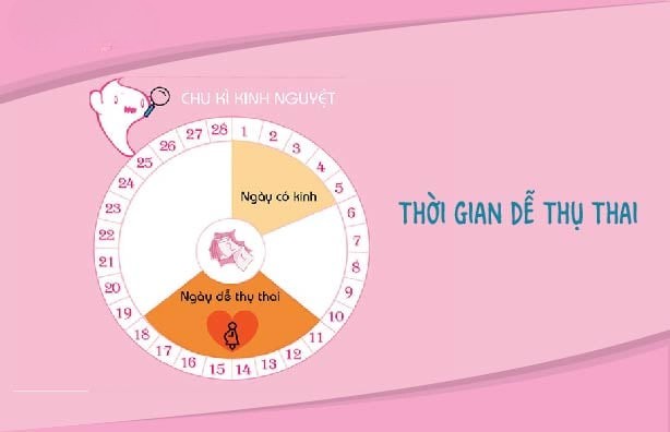 Cách tính ngày dễ thụ thai