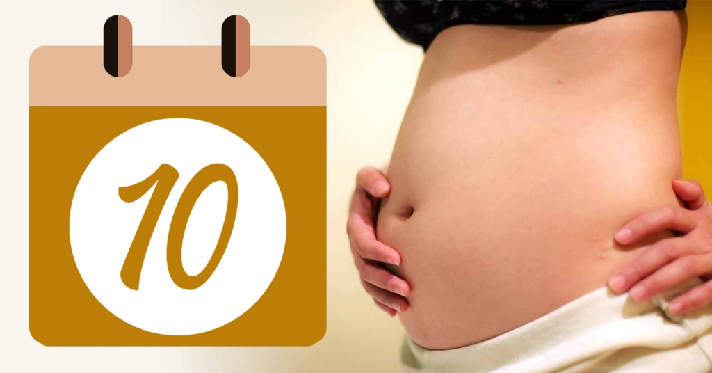 Minh họa bụng mẹ khi mang thai 10 tuần thường chưa lớn rõ