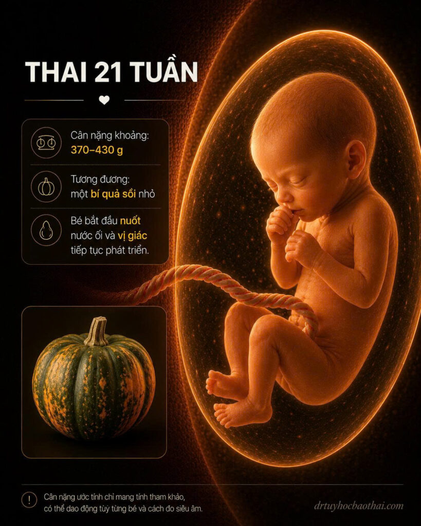 thai 21 tuần