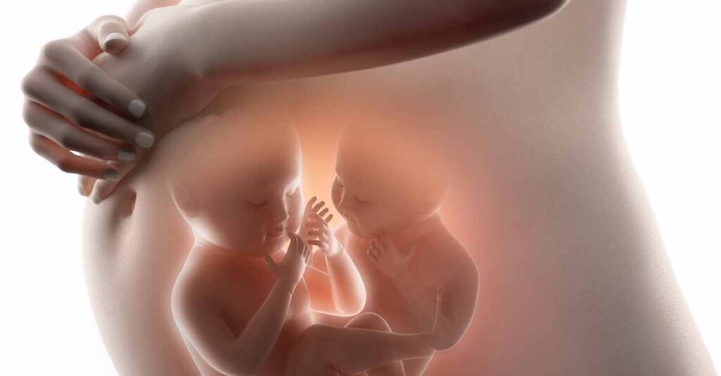 Có phân biệt được hai bé khi còn trong bụng mẹ không