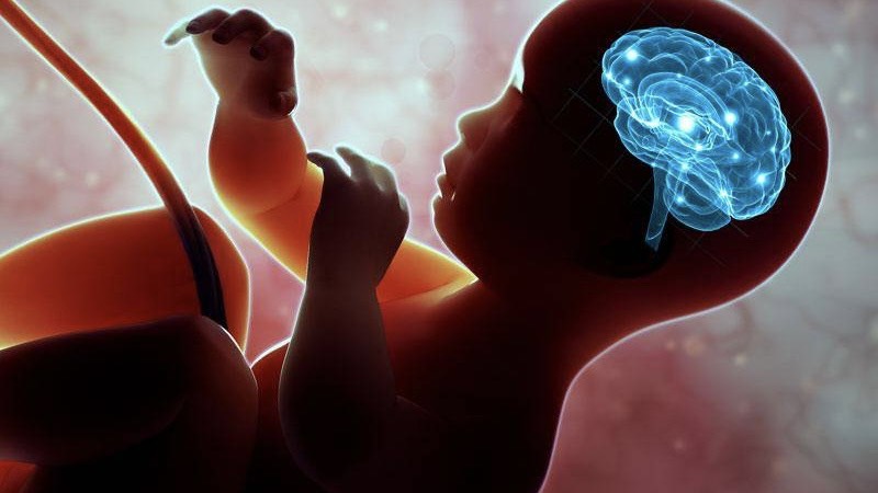 MRI phát hiện gì thêm trong giãn não thất