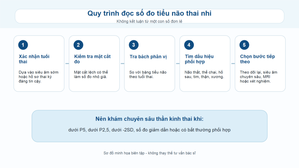 Quy trình đánh giá tiểu não thai nhi trên siêu âm