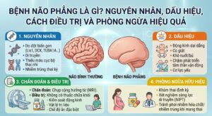 Bệnh Não Phẳng Là Gì?