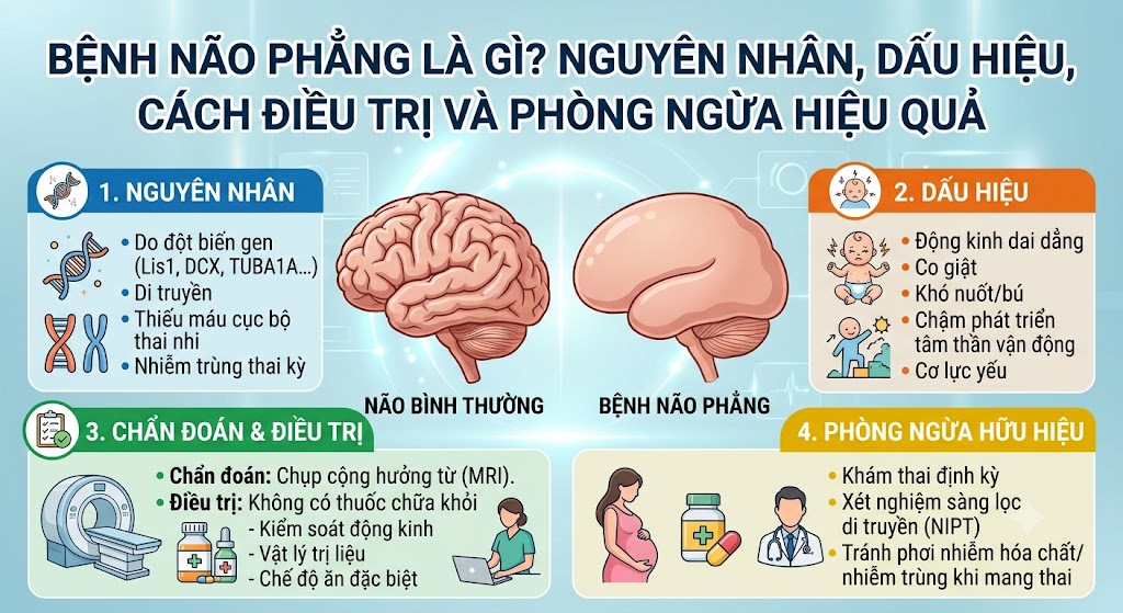 Bệnh Não Phẳng Là Gì?